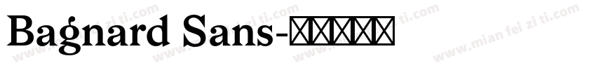 Bagnard Sans字体转换